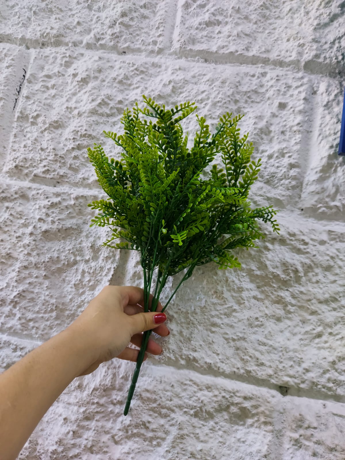 Follaje General Boston Fern 35cm