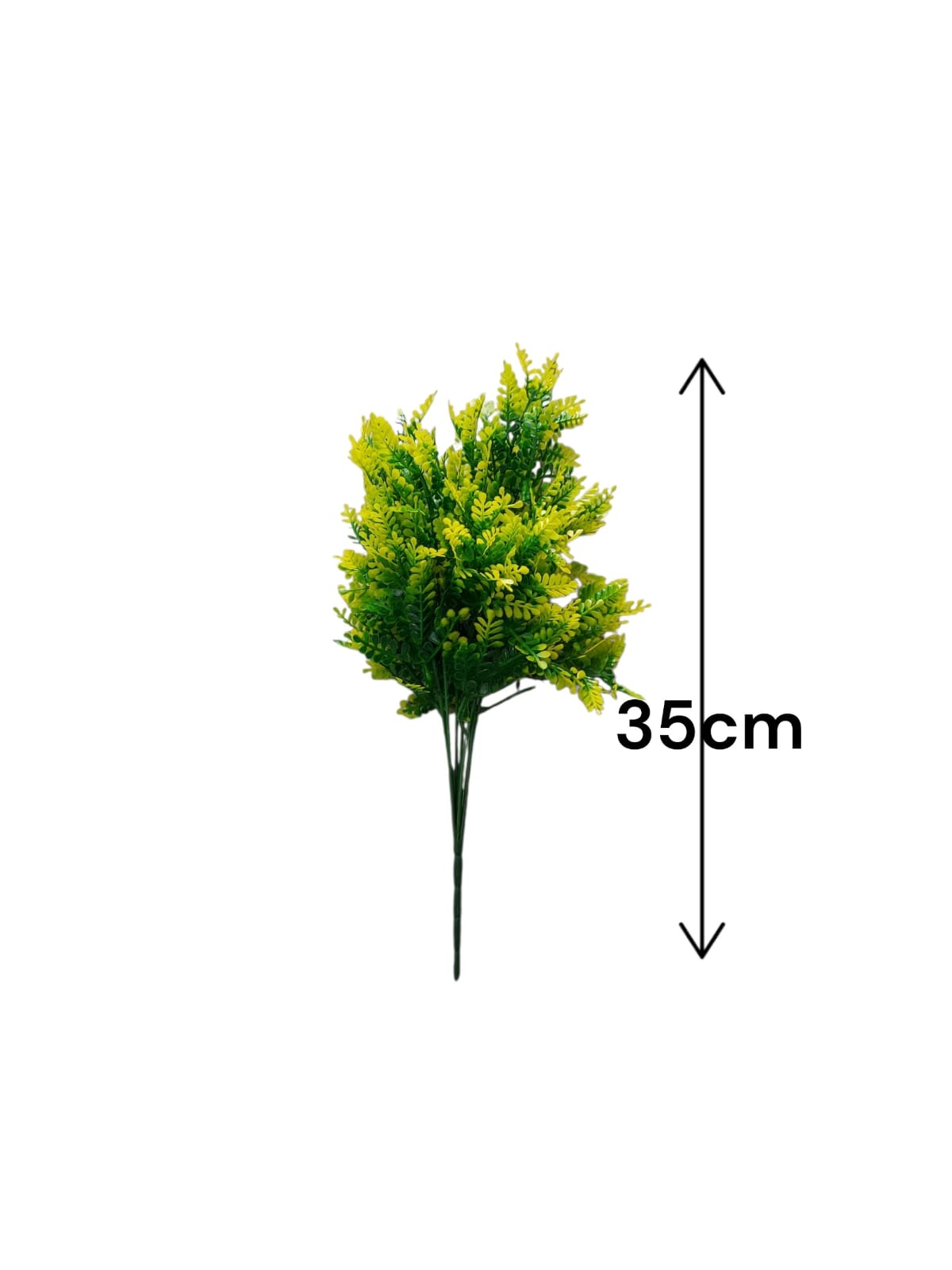 Follaje General Boston Fern Amarilla 35cm