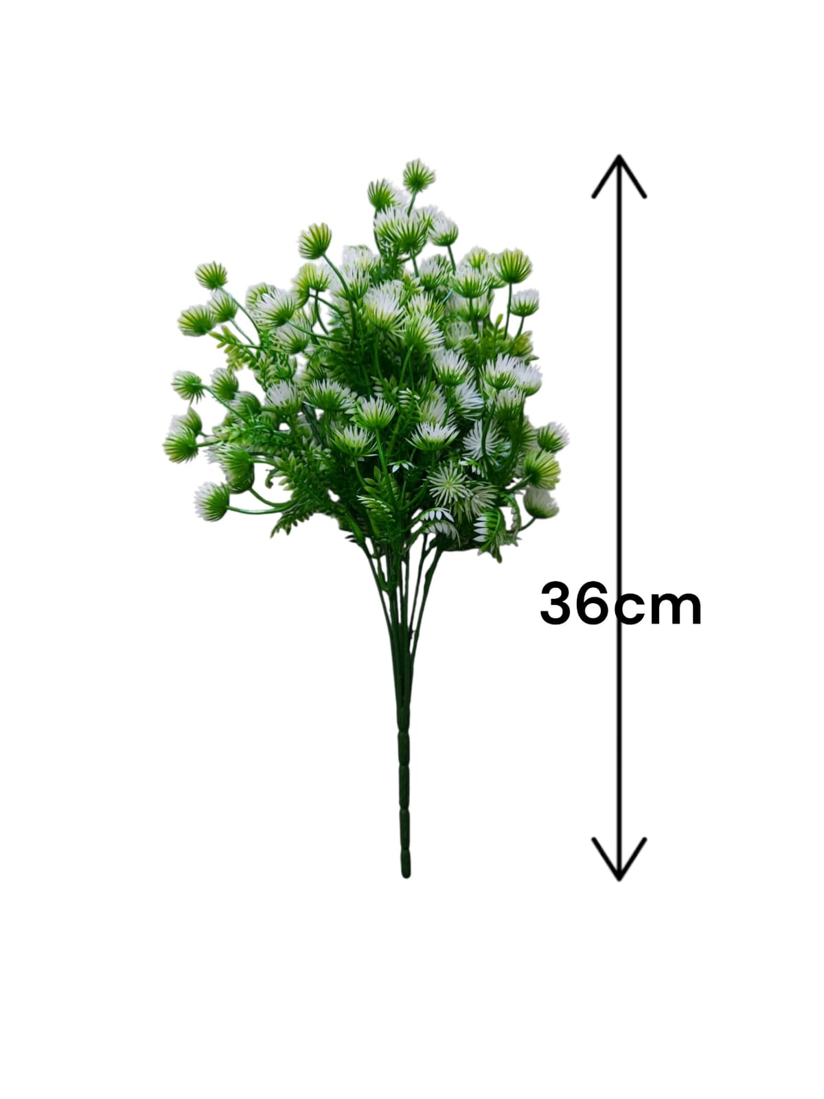 Follaje General Cabomba Caroliniana Blanca 36cm