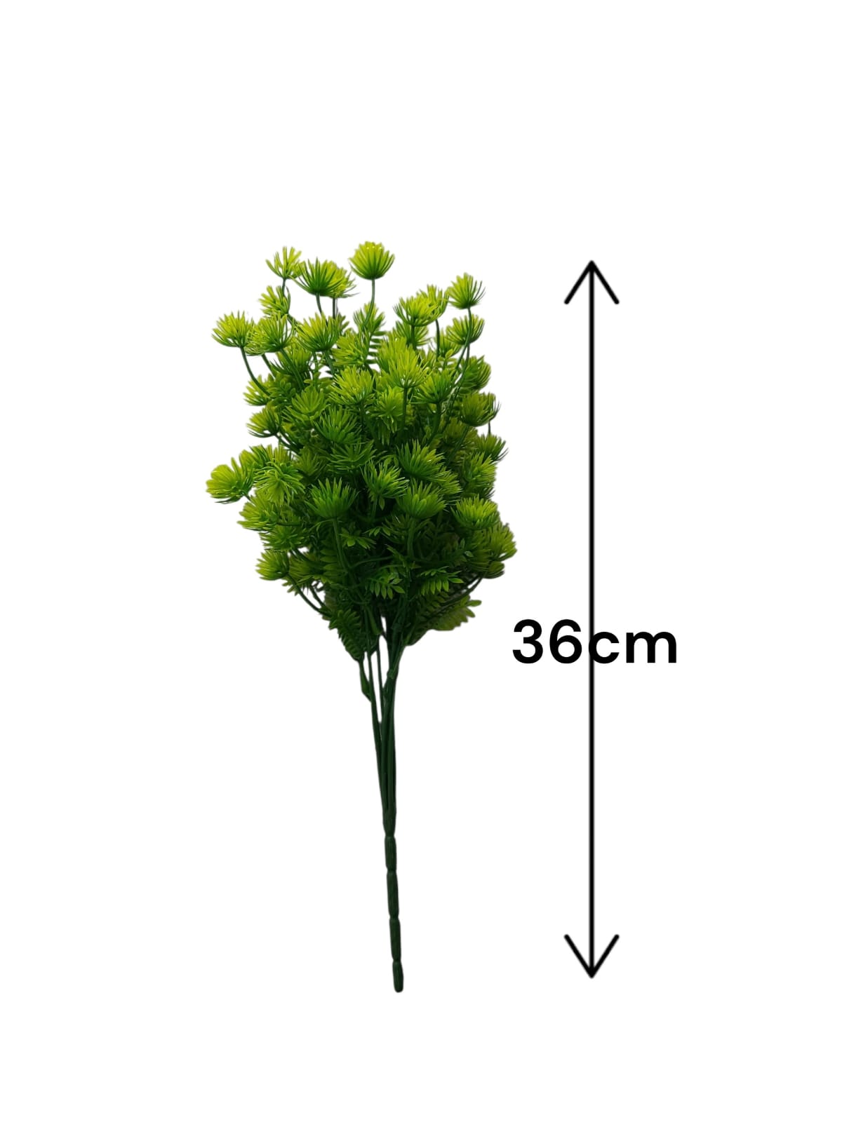 Follaje General Cabomba Caroliniana 36cm