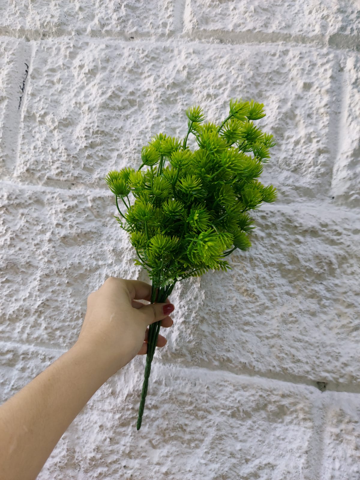 Follaje General Cabomba Caroliniana 36cm