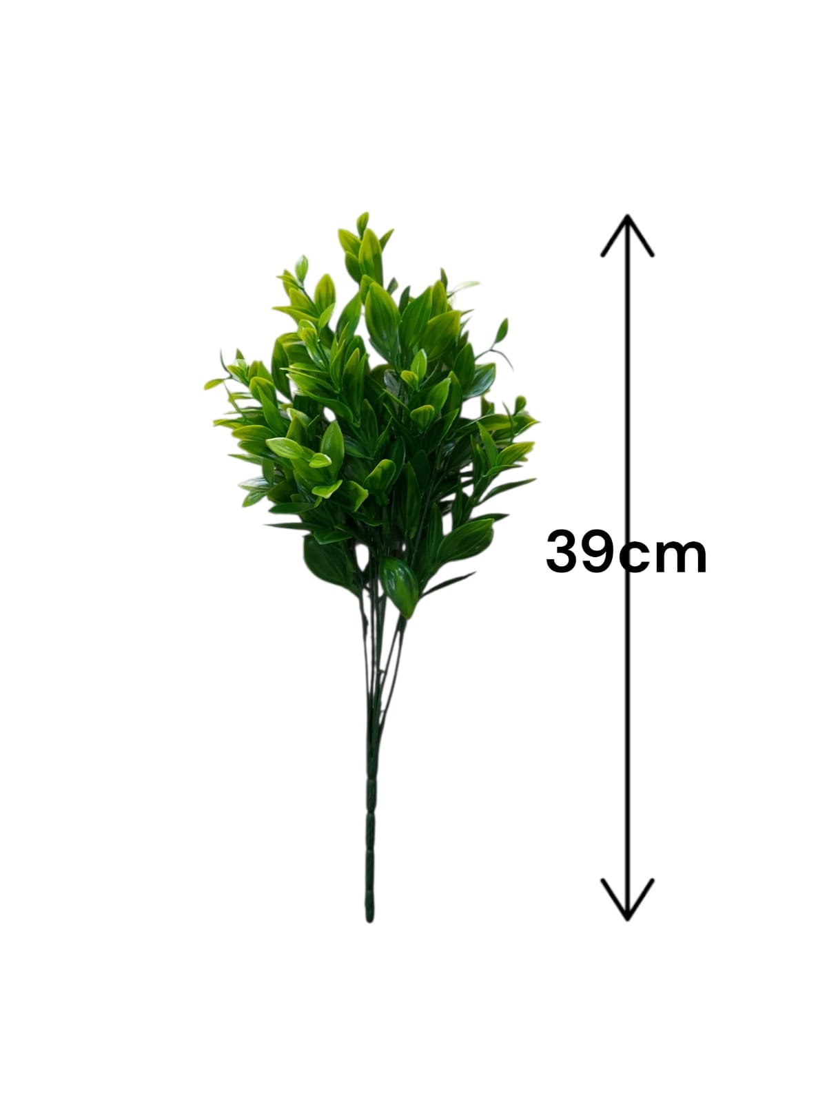 Follaje General Nemantus 39cm