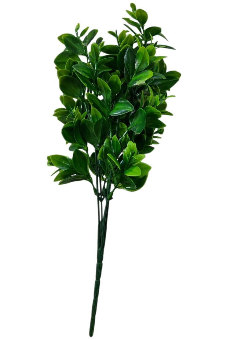 Follaje General Ruscus 33cm
