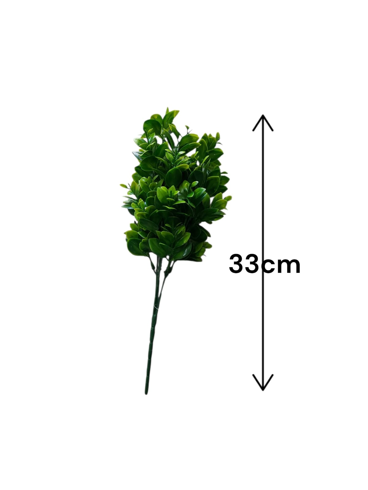 Follaje General Ruscus 33cm