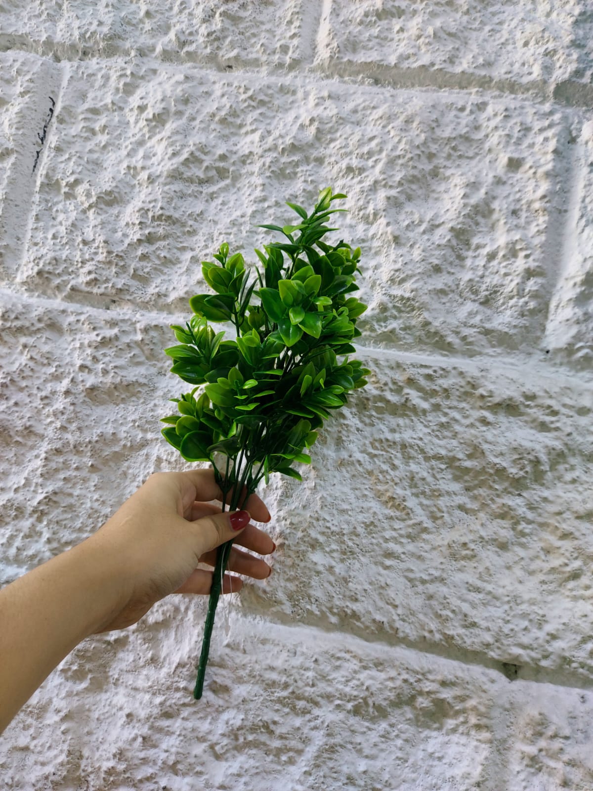 Follaje General Ruscus 33cm