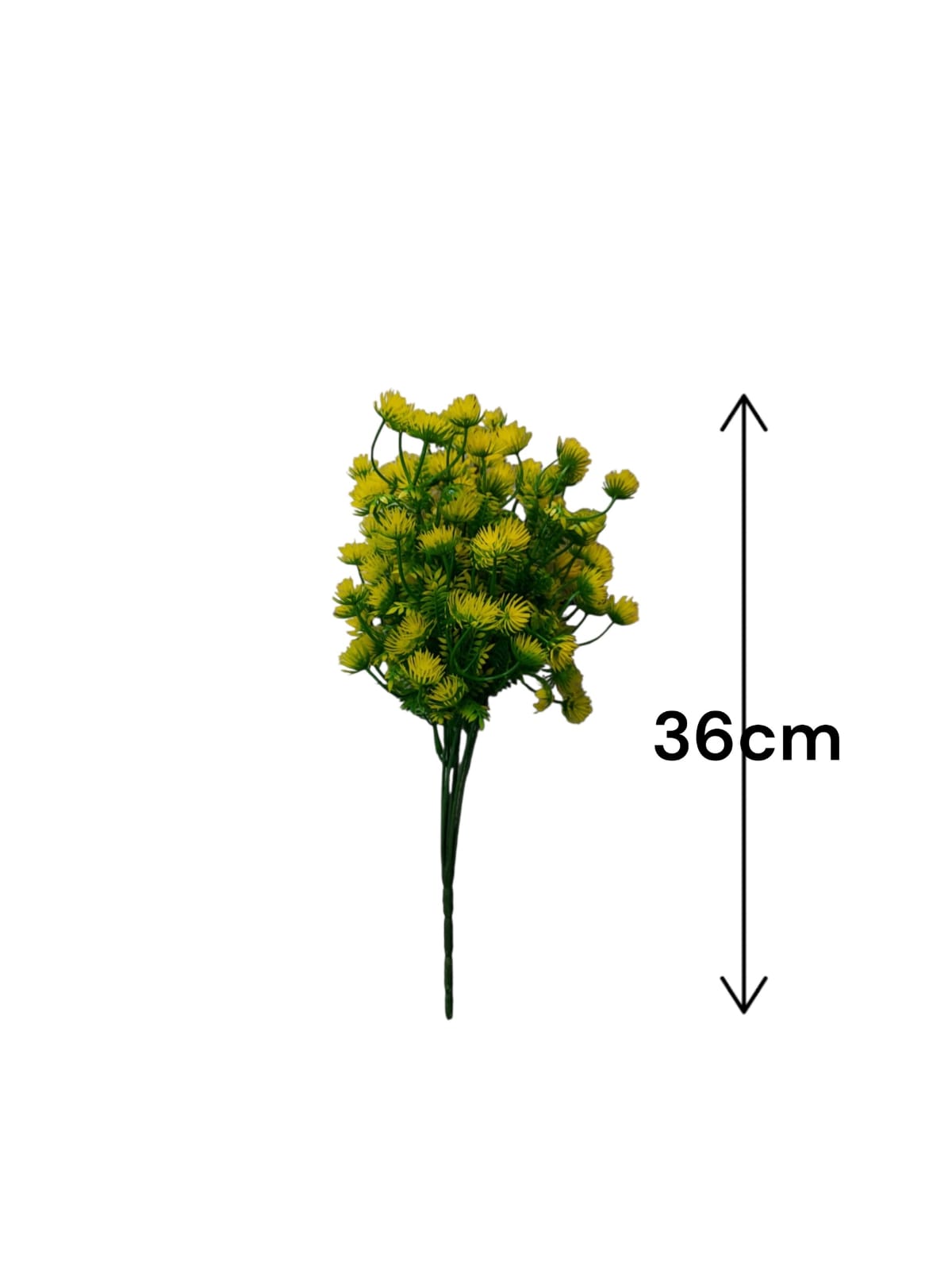 Follaje General Cabomba Caroliniana Amarilla 36cm