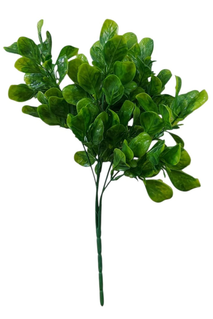 Follaje General Boxwood 33cm