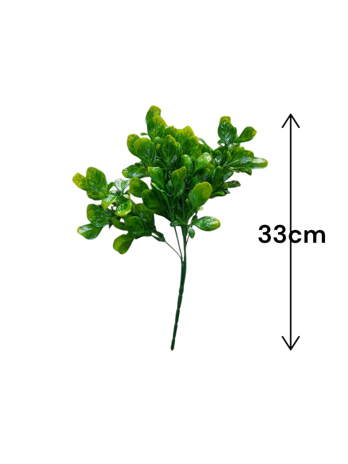 Follaje General Boxwood 33cm
