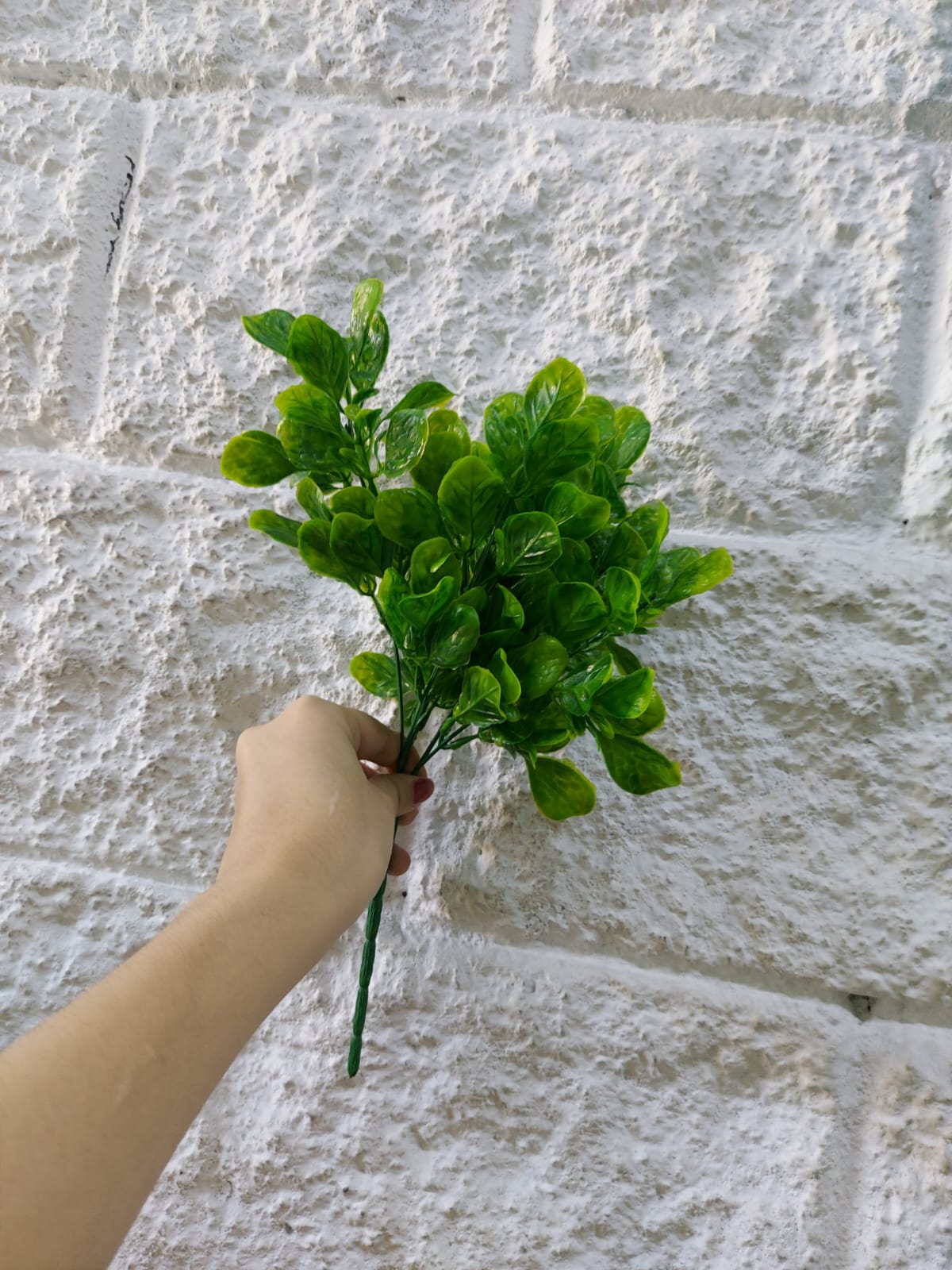 Follaje General Boxwood 33cm