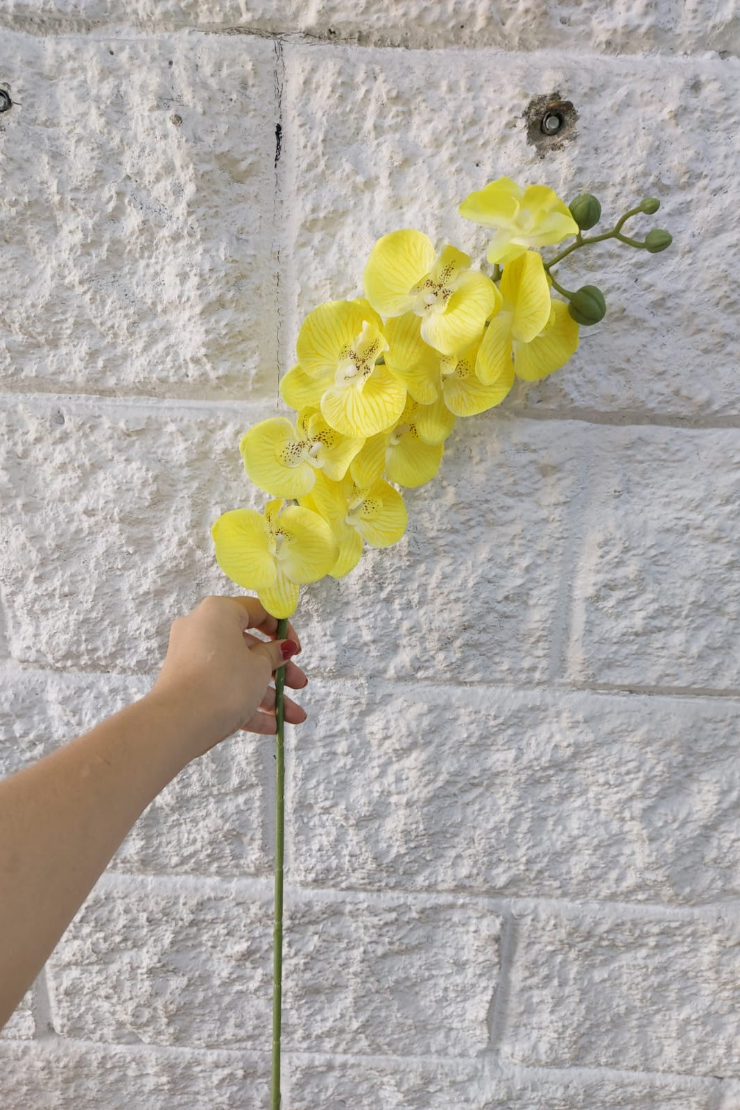 Flor Orquídea Amarilla 69cm
