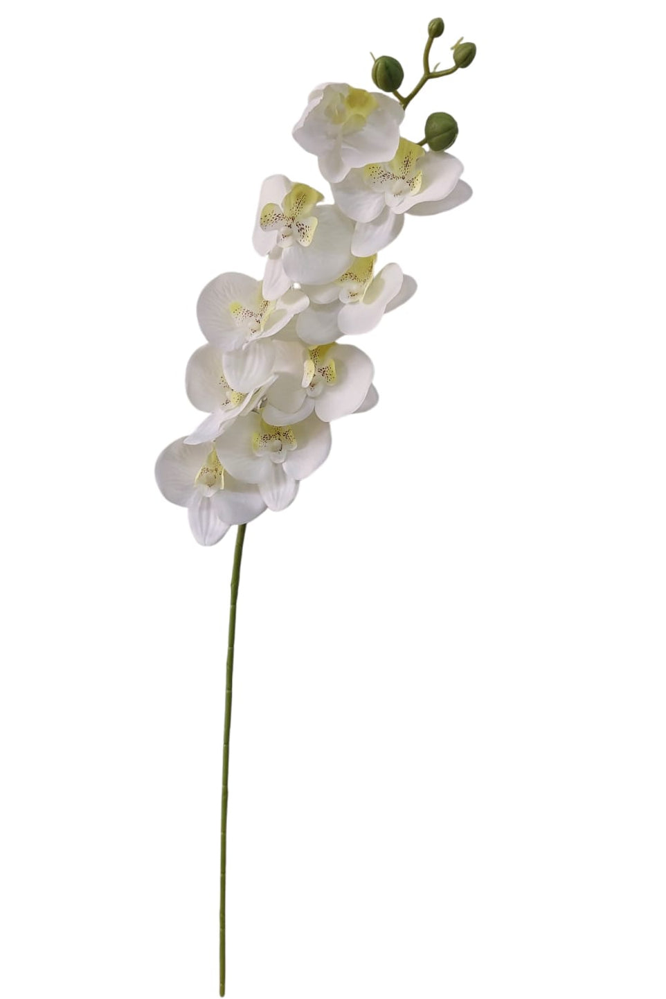 Flor Orquídea Blanca 69cm