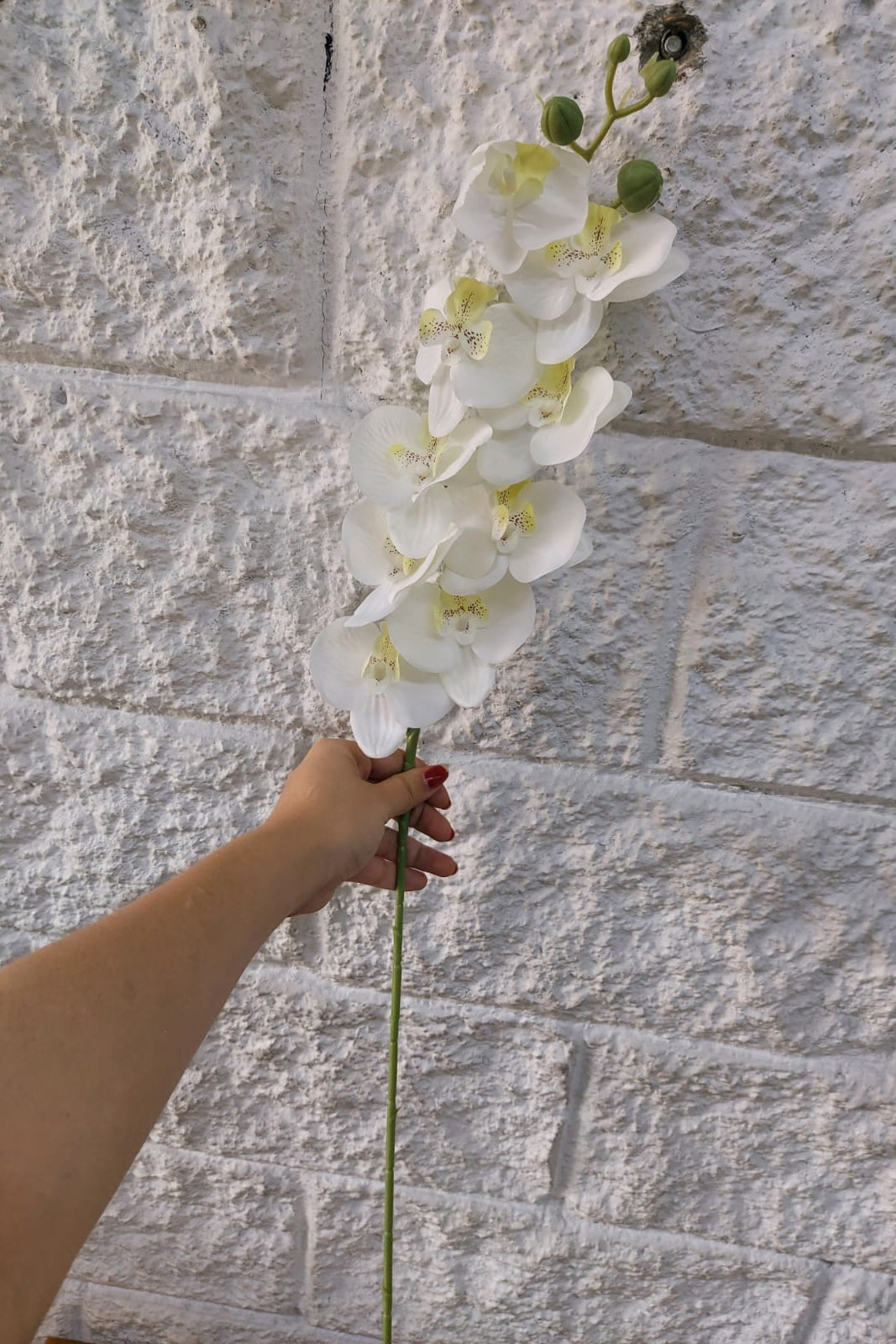 Flor Orquídea Blanca 69cm