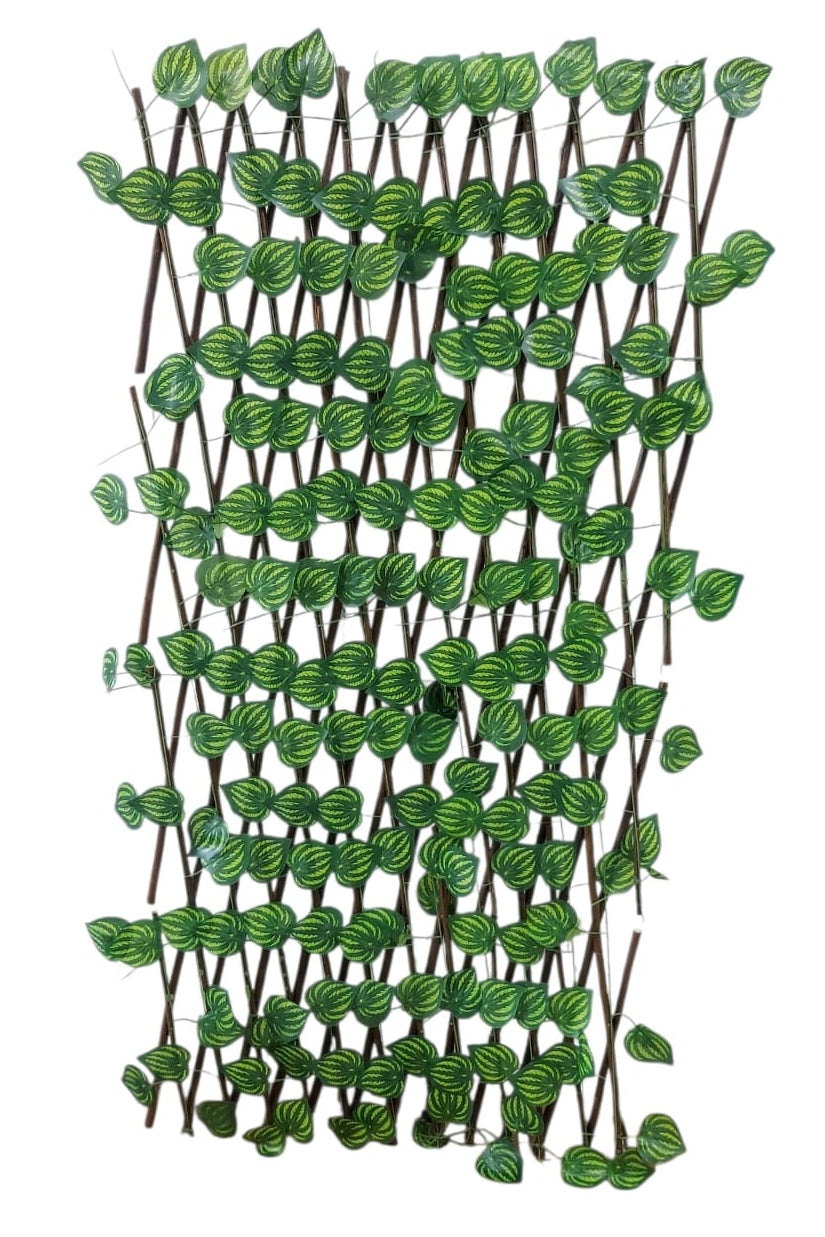 Cercha Decorativa Plegable Hoja Sandia 2mx1m