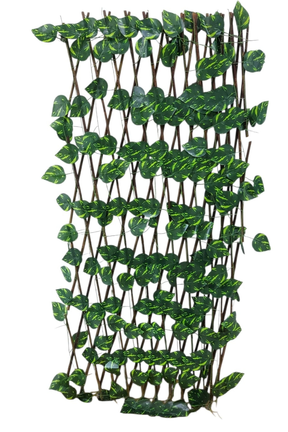 Cercha Decorativa Plegable Hoja Pothos 2mx1m