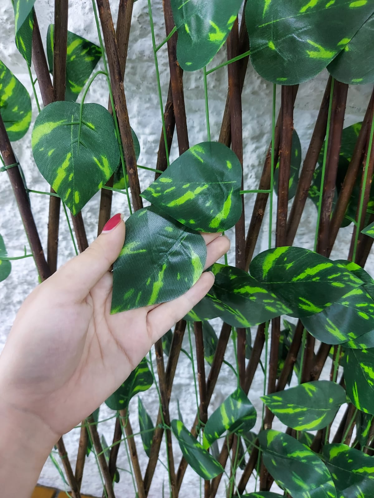 Cercha Decorativa Plegable Hoja Pothos 2mx1m