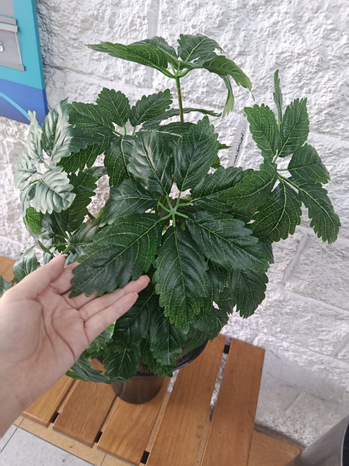 Planta Robira 5 Hojas Artificial 68cm