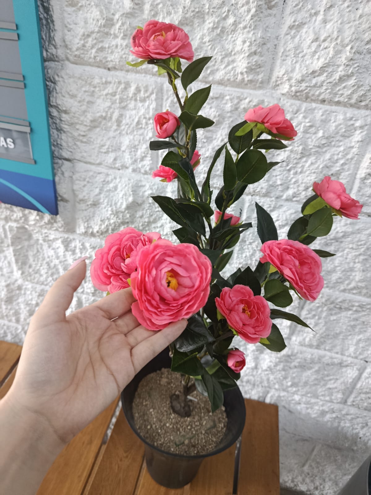Planta de Rosas Salmón Artificial 86cm