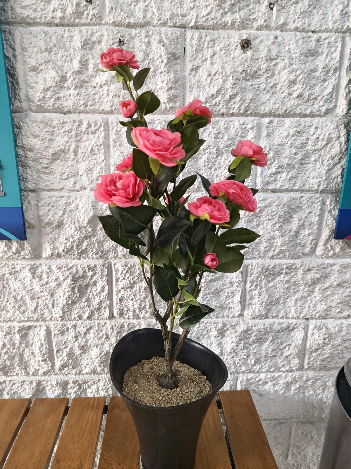 Planta de Rosas Salmón Artificial 86cm
