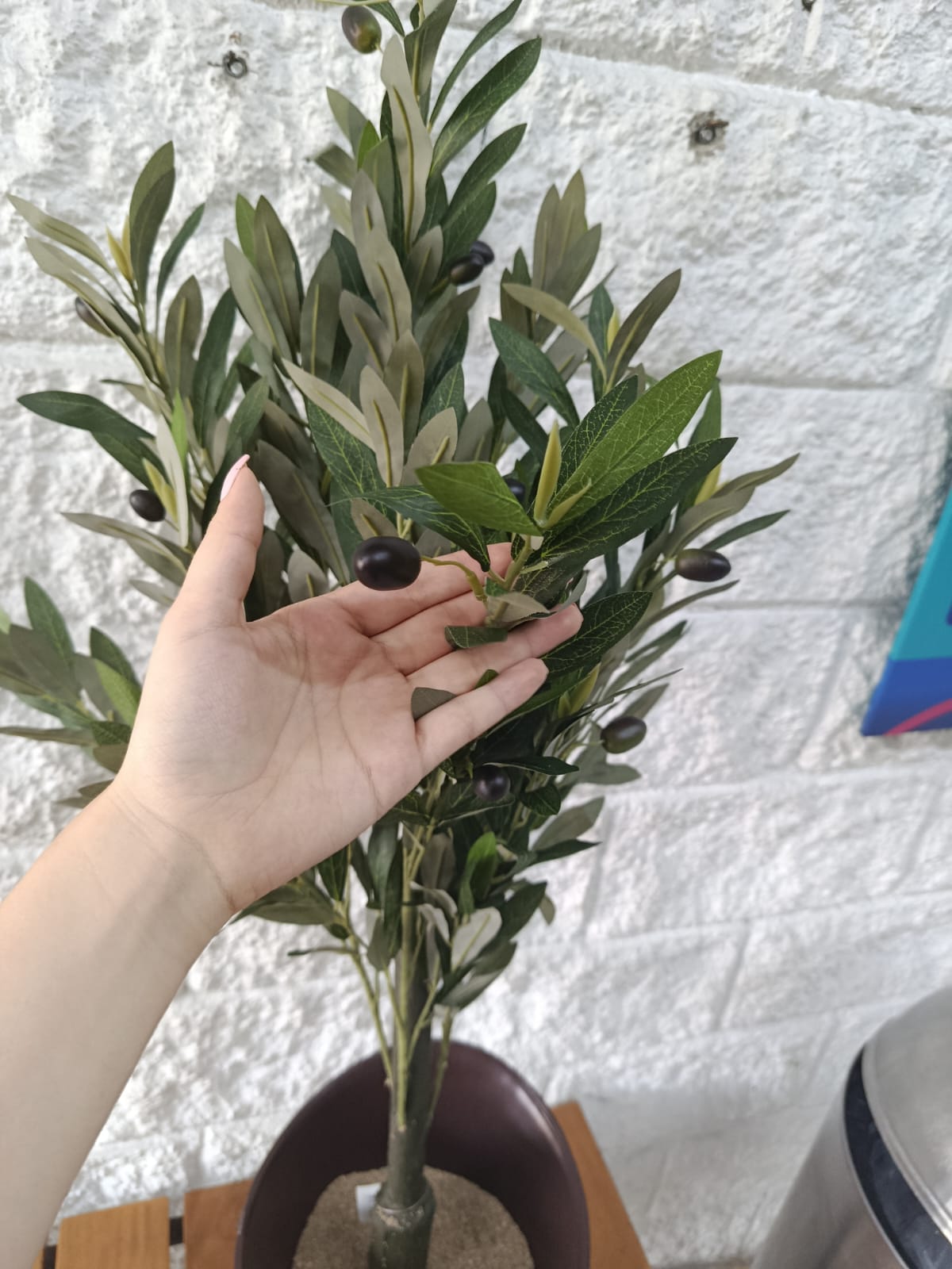 Planta Tipo Olivo Artificial 1mt