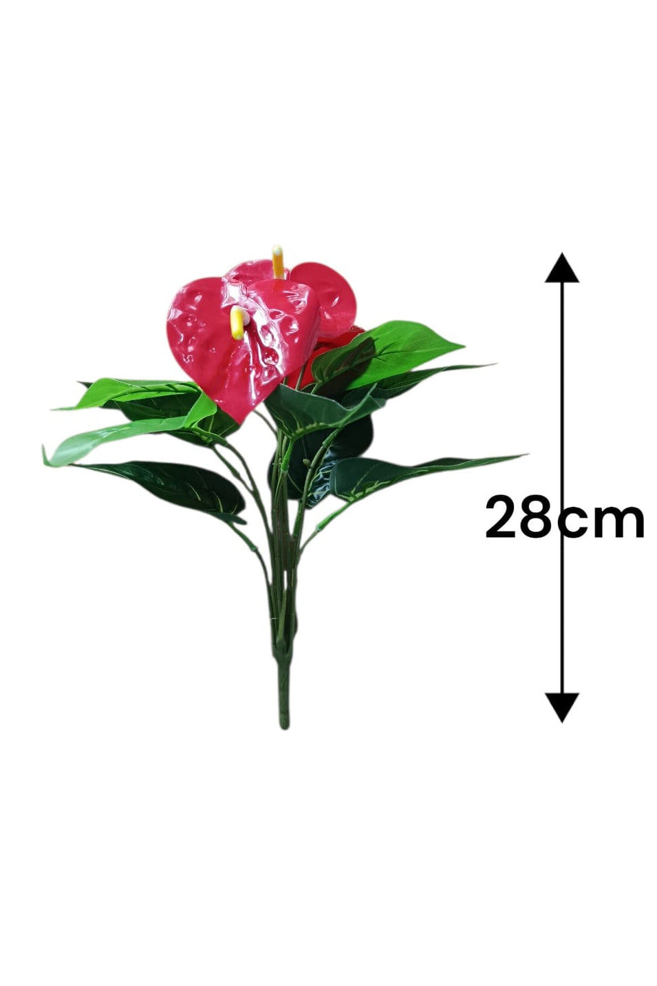 Planta Anturio Pequeña 28cm