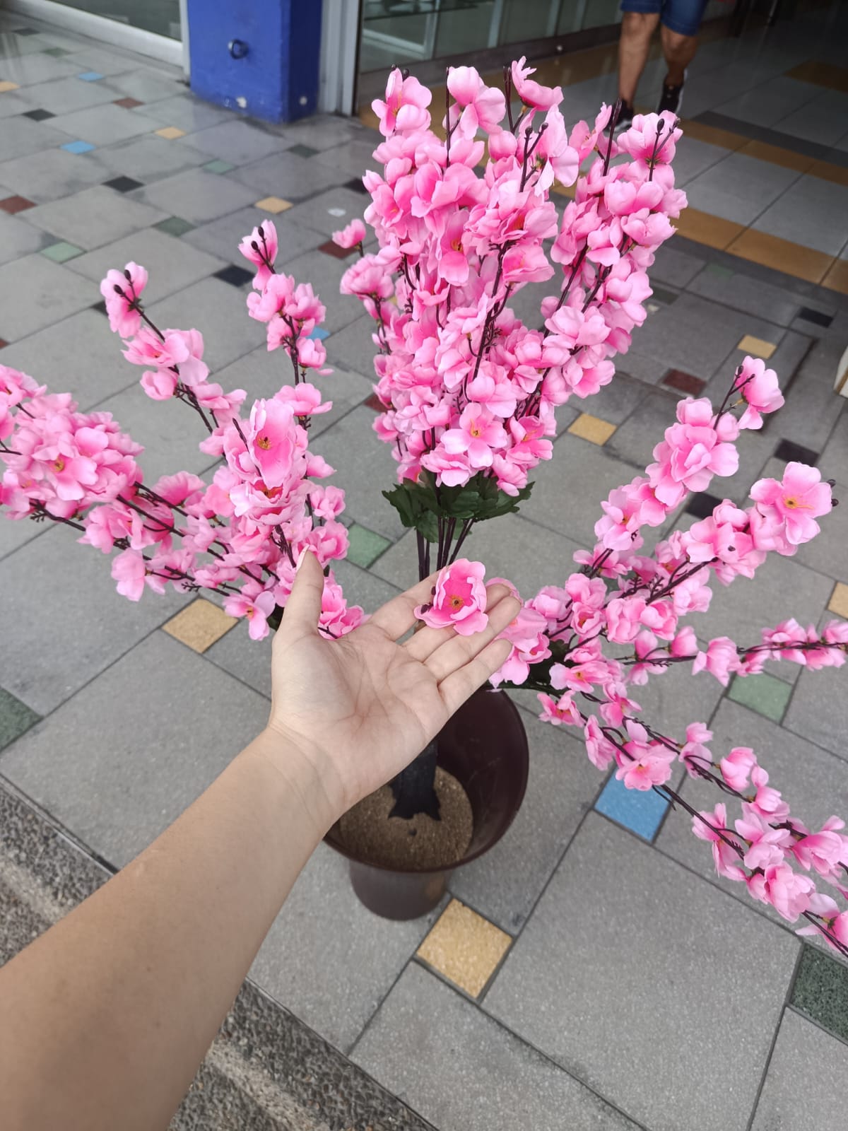 Árbol de Cerezo Pequeño Rosado Sencillo 92cm