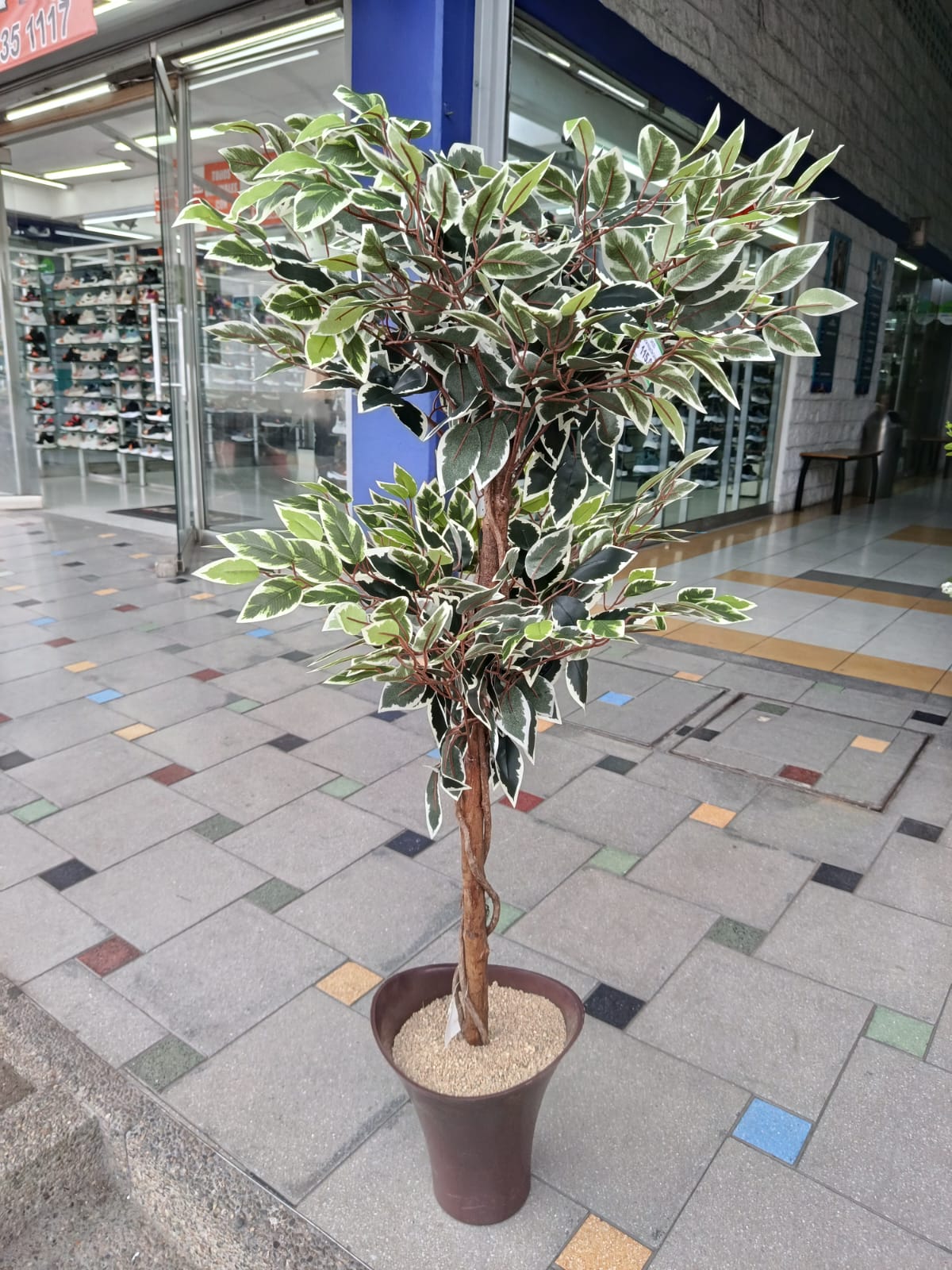 Planta de Hojas Calathea Artificial 1.30mts