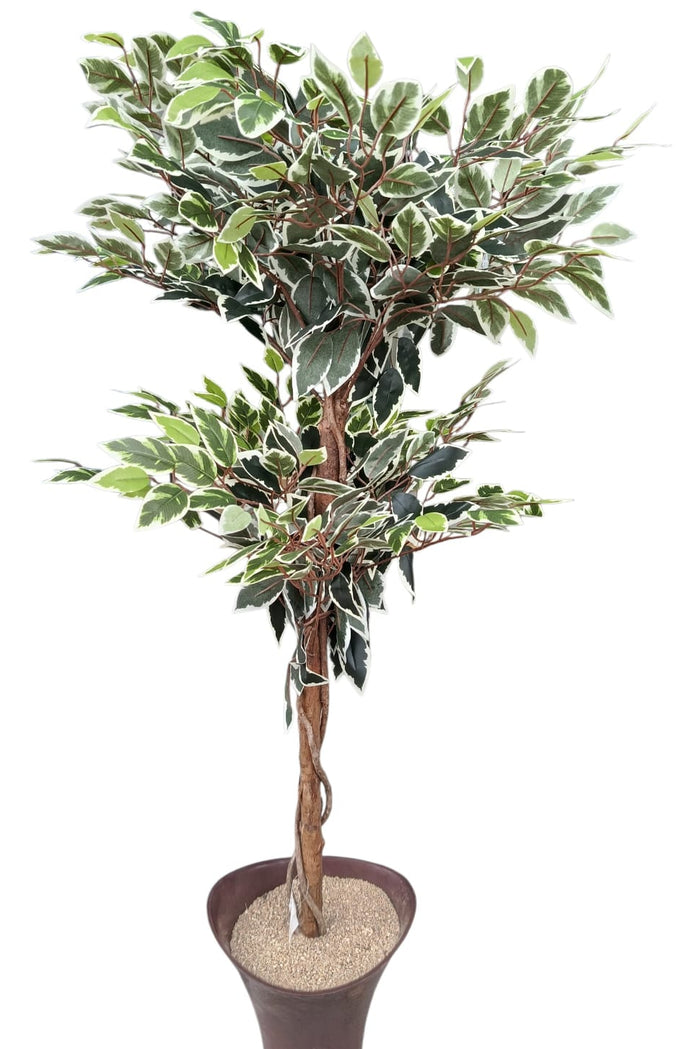 Plantas Artificiales
