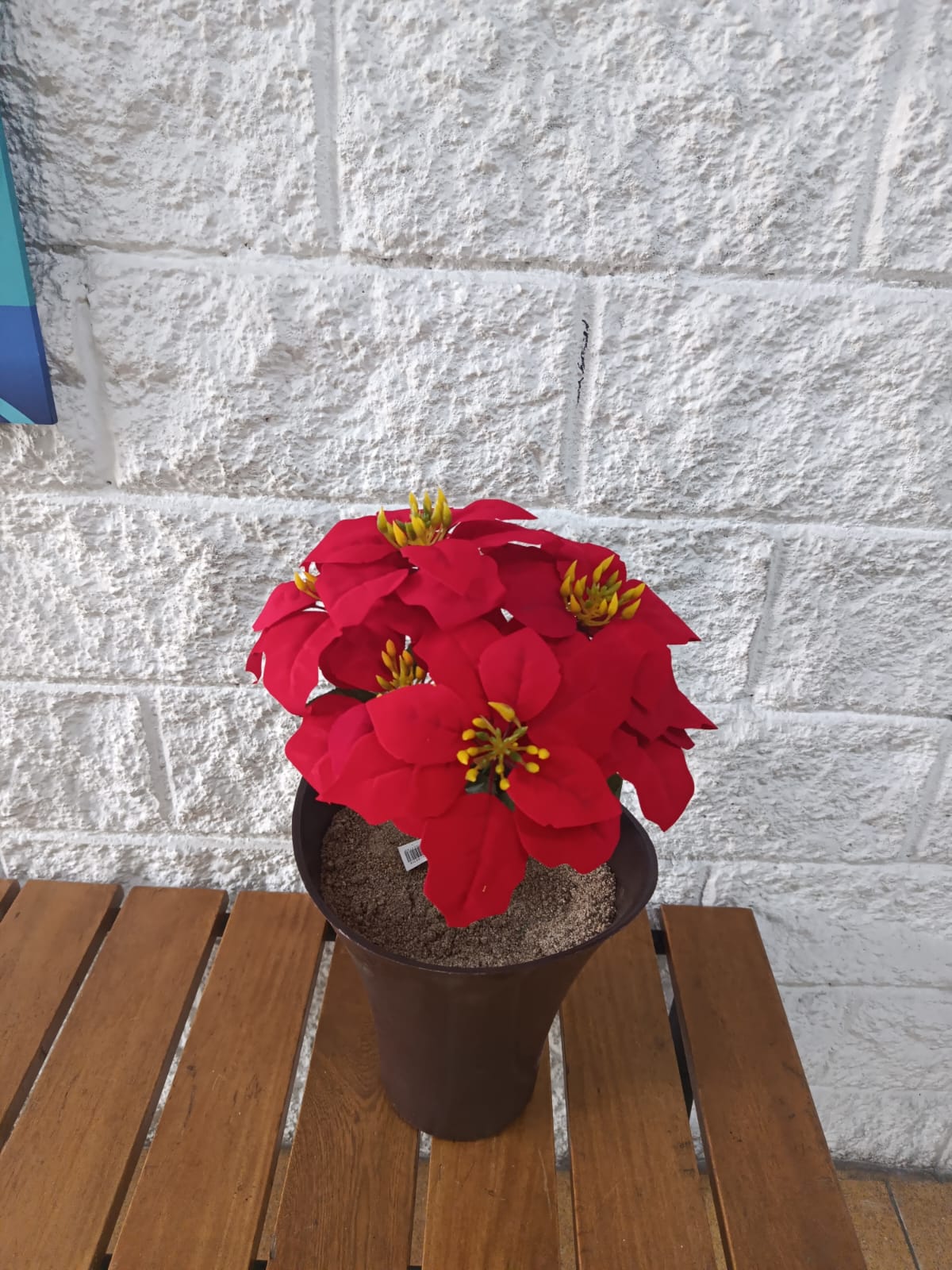 Planta Roja Artificial  Navideña 44cm