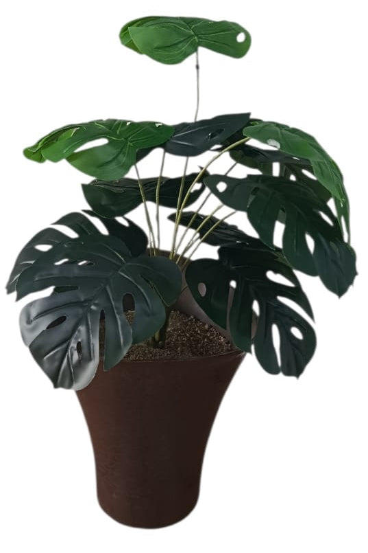 Planta Balazo Pequeña 54cm