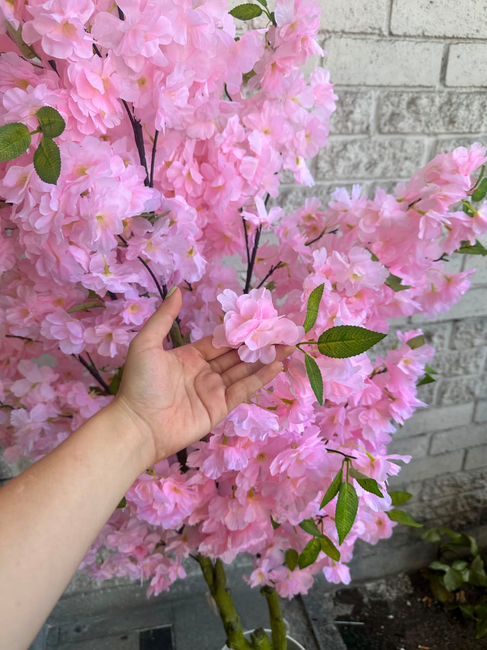 Árbol de Cerezo 2 Troncos Rosa Claro 1.70mts