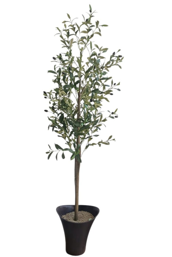 Planta Olivo Artificial 1.45cm