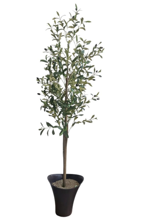Planta Olivo Artificial 1.45cm