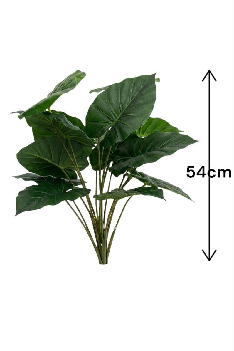 Planta Corazón Verde Pequeña 54cm