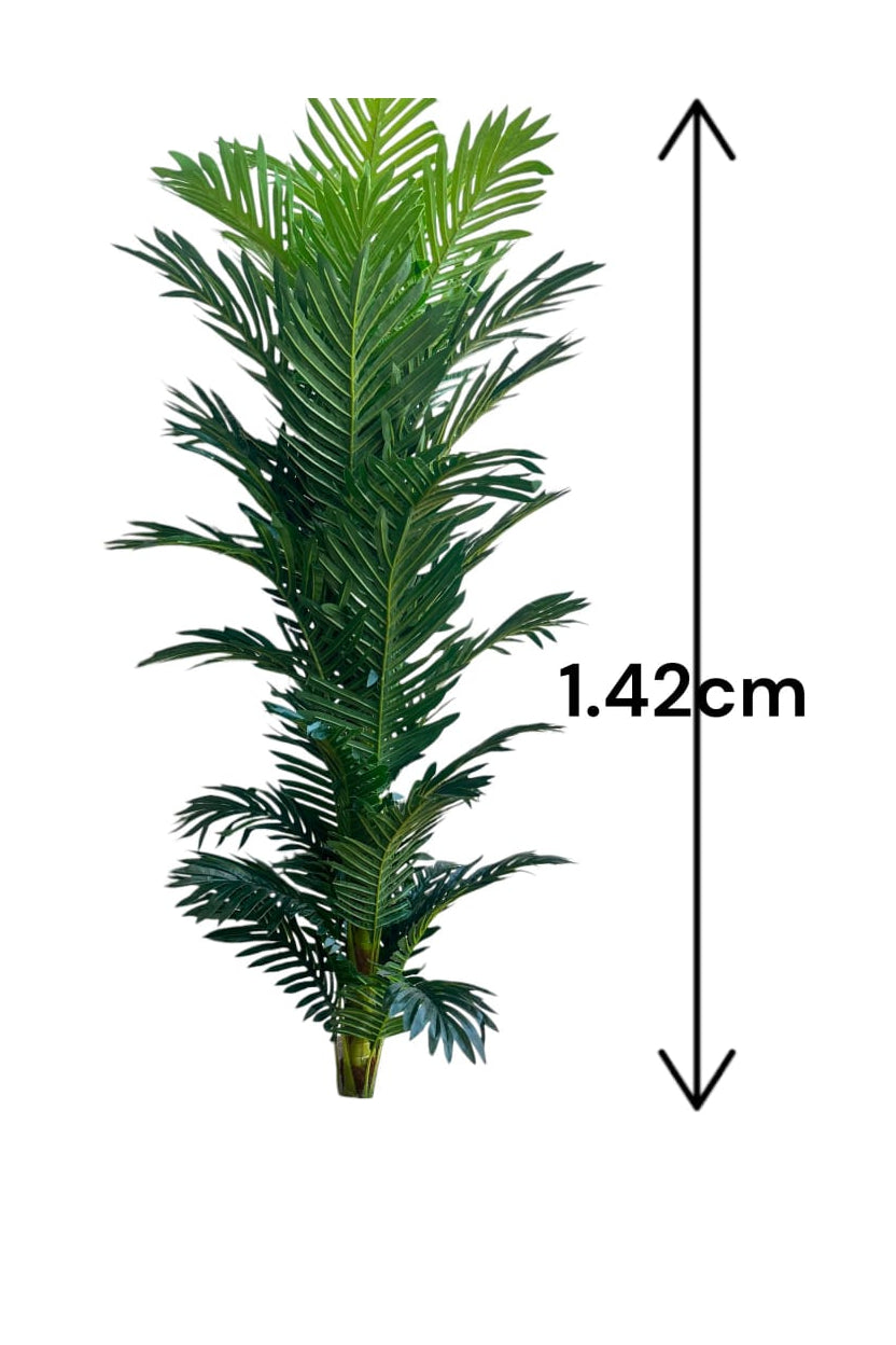 Planta Palmera Grande 1 Tronco 1.42cm