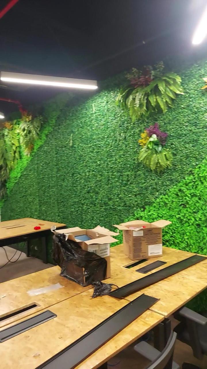 pared grande ntl p7