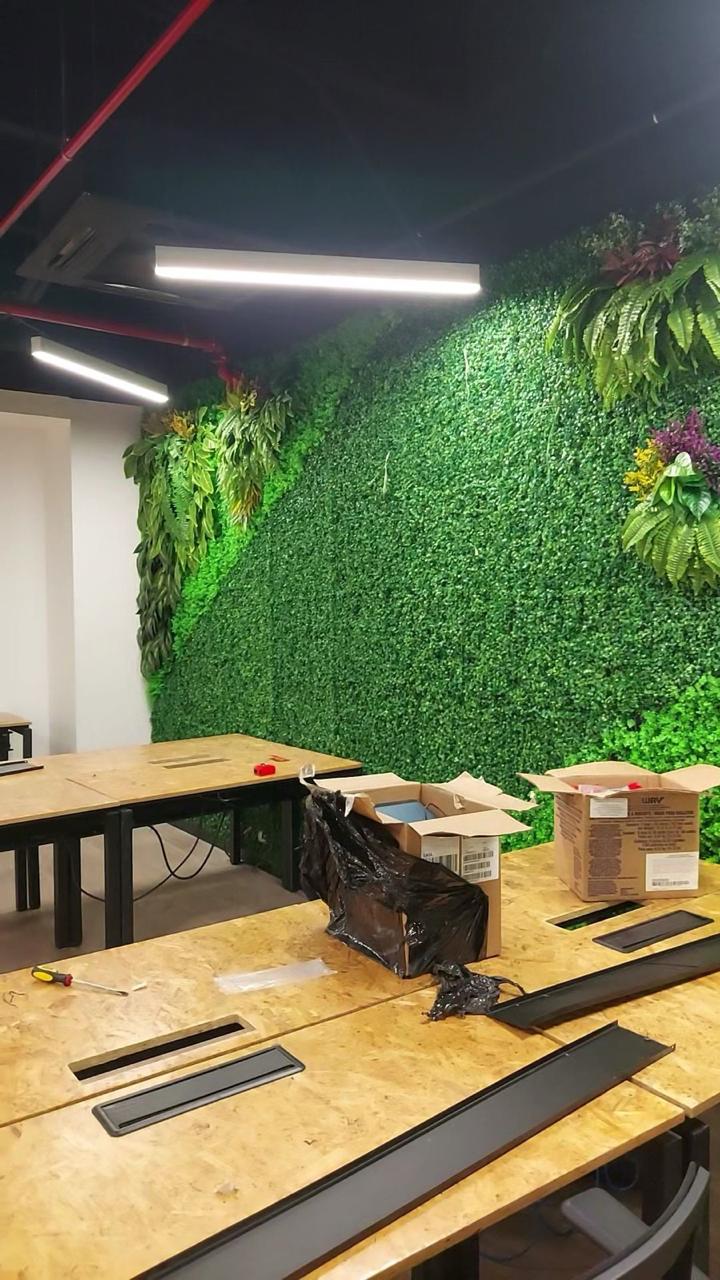 pared grande ntl p7