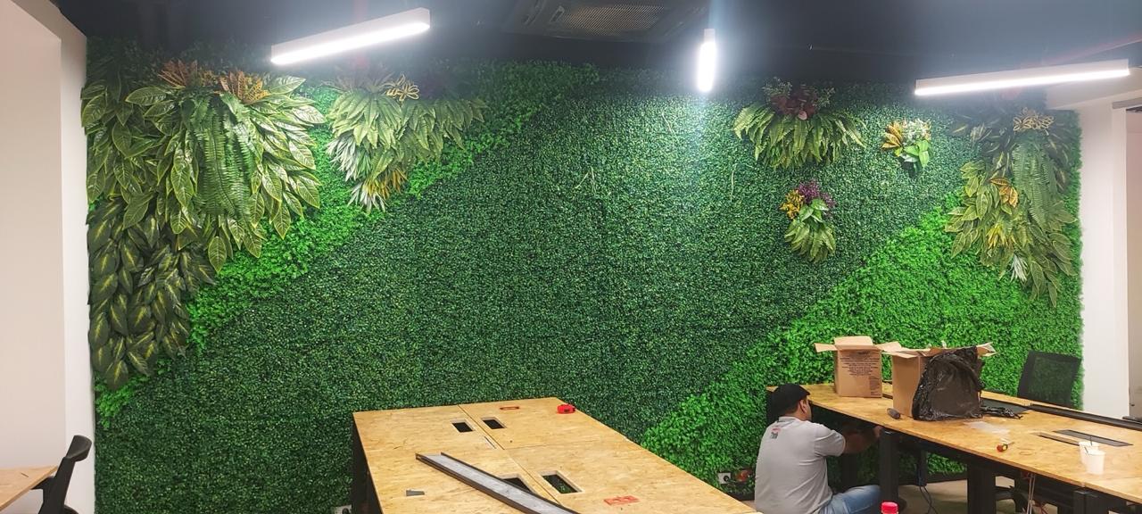 pared grande ntl p7