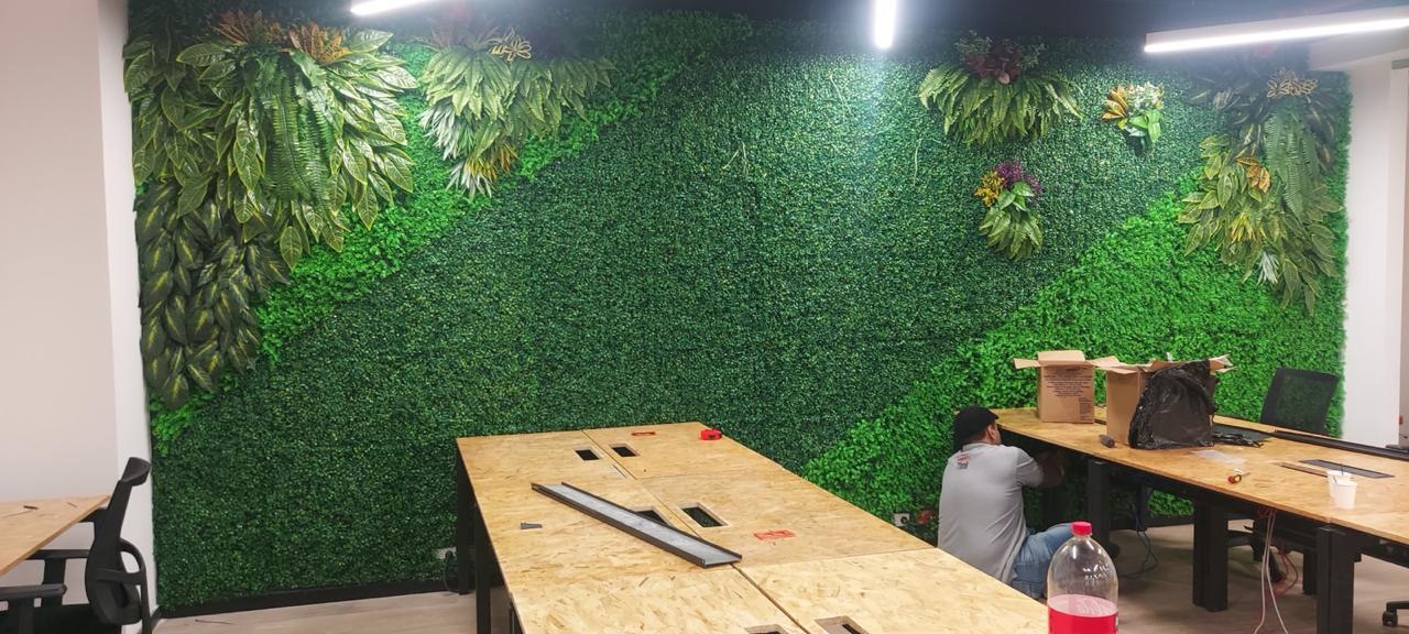 pared grande ntl p7
