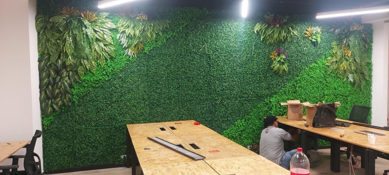 pared grande ntl p7