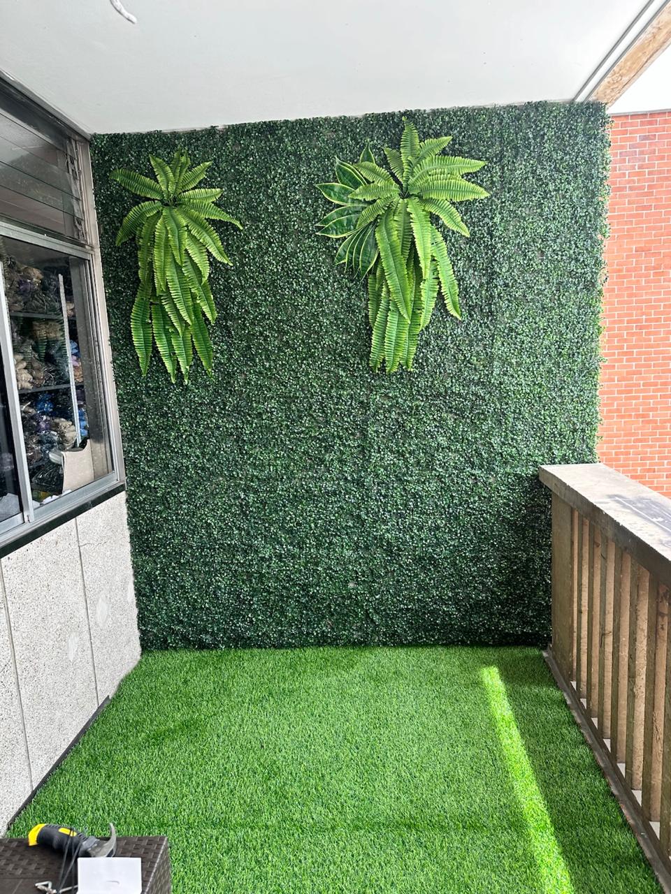 pared plana y helechos p19