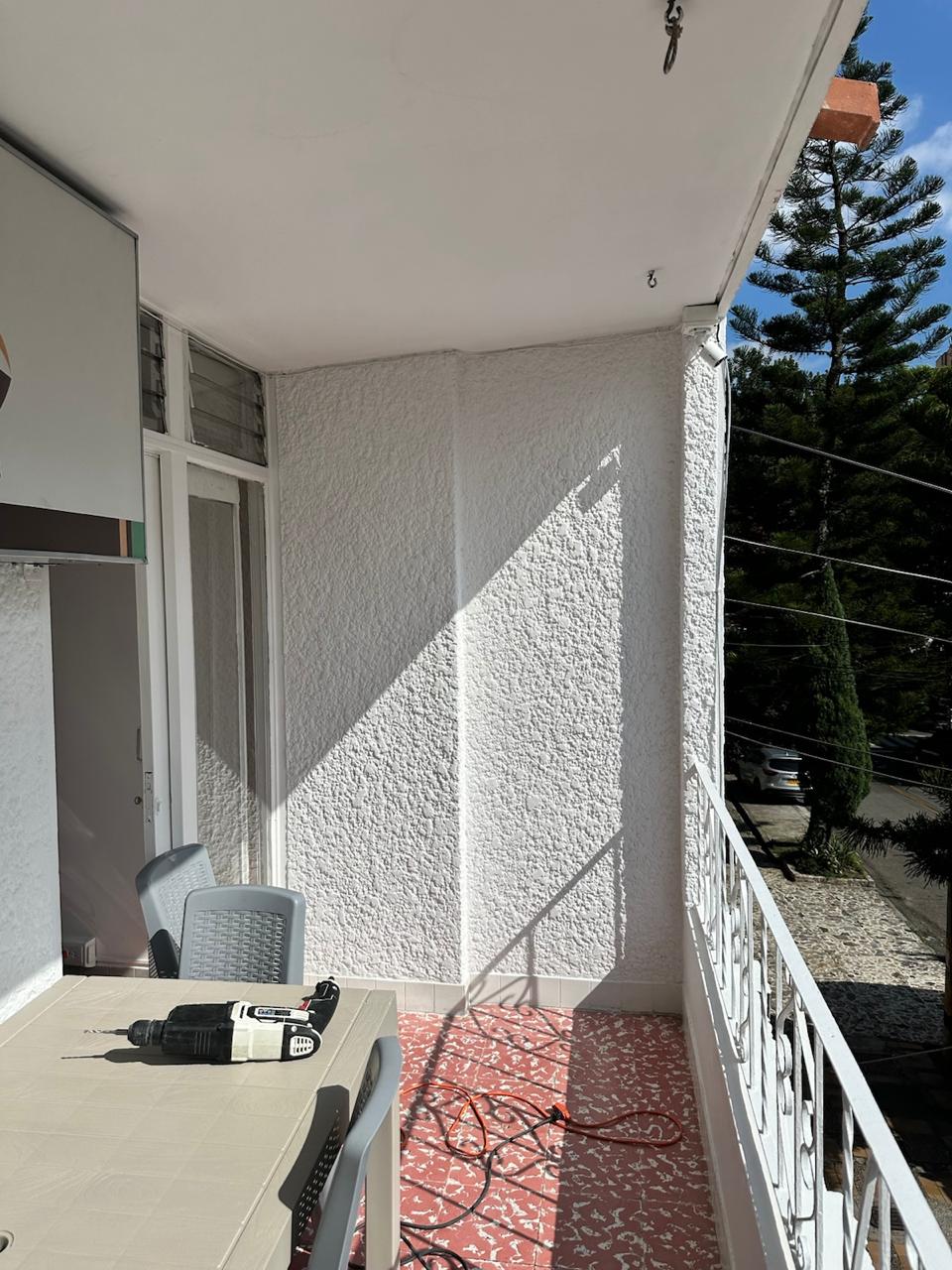 pared terreo helechos p21