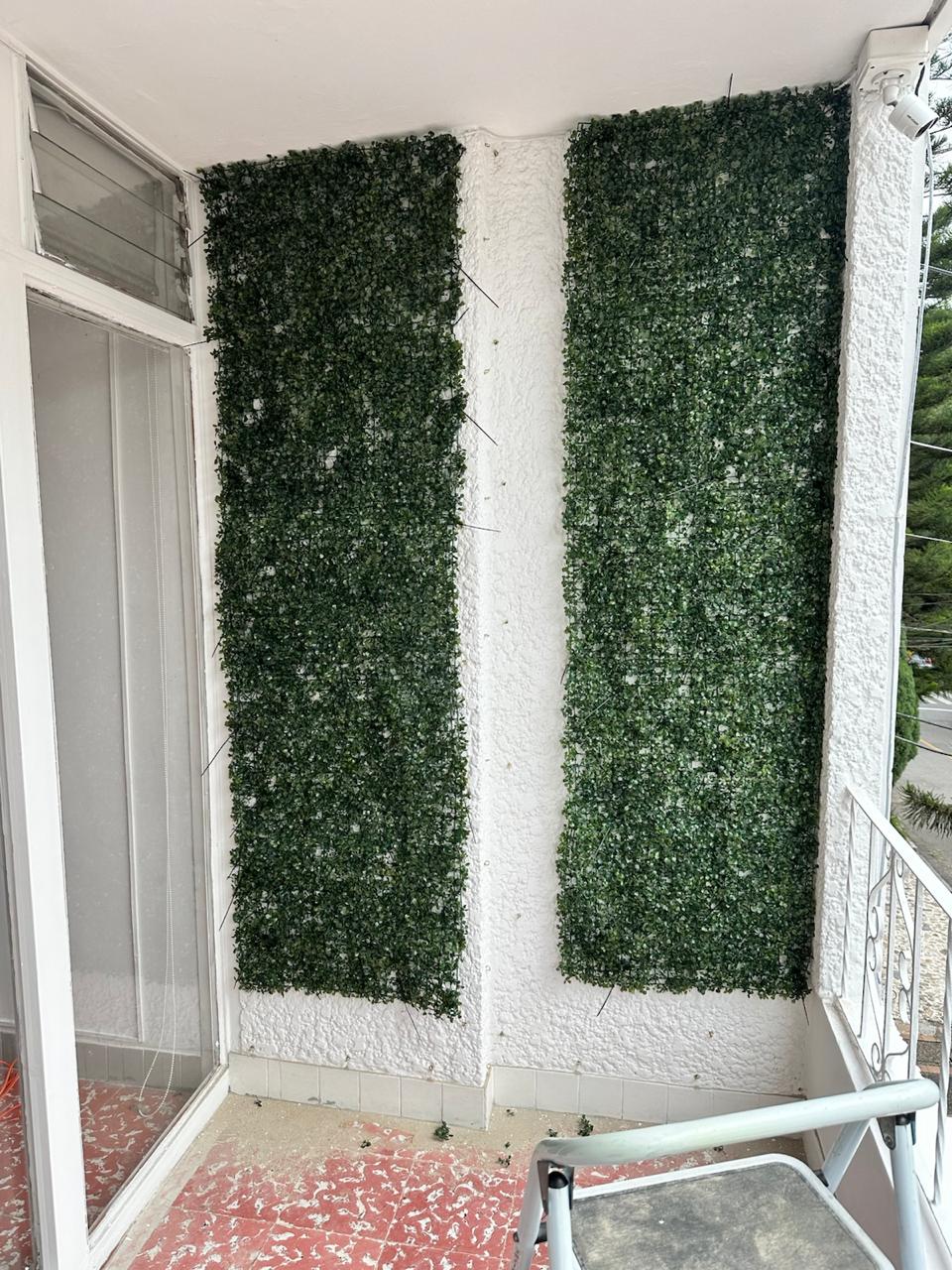 pared terreo helechos p21