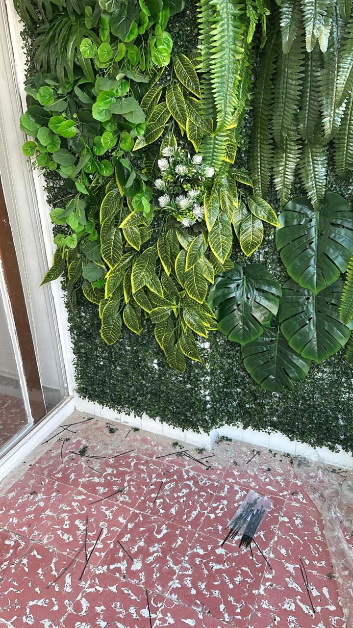 pared terreo helechos p21