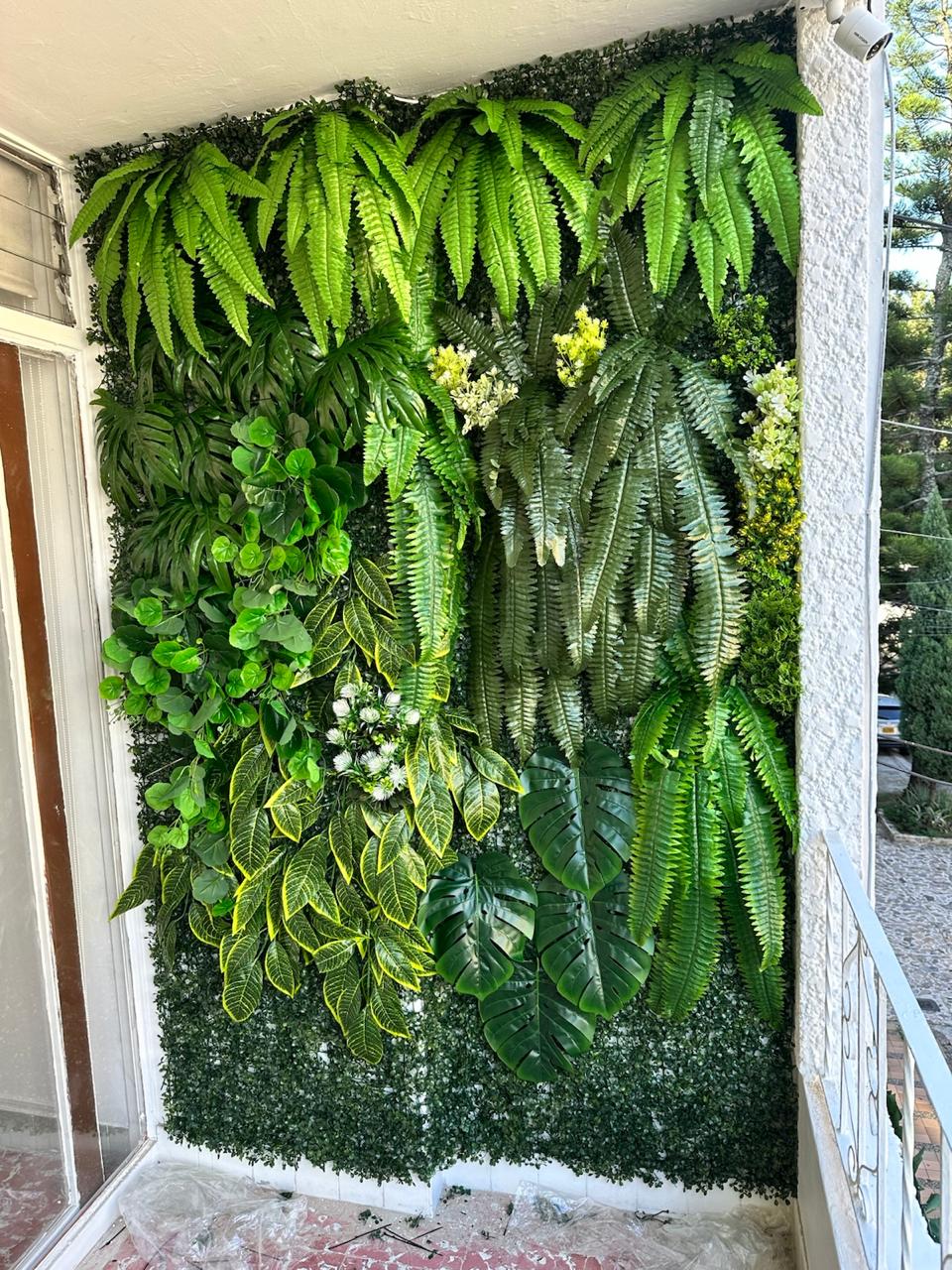 pared terreo helechos p21