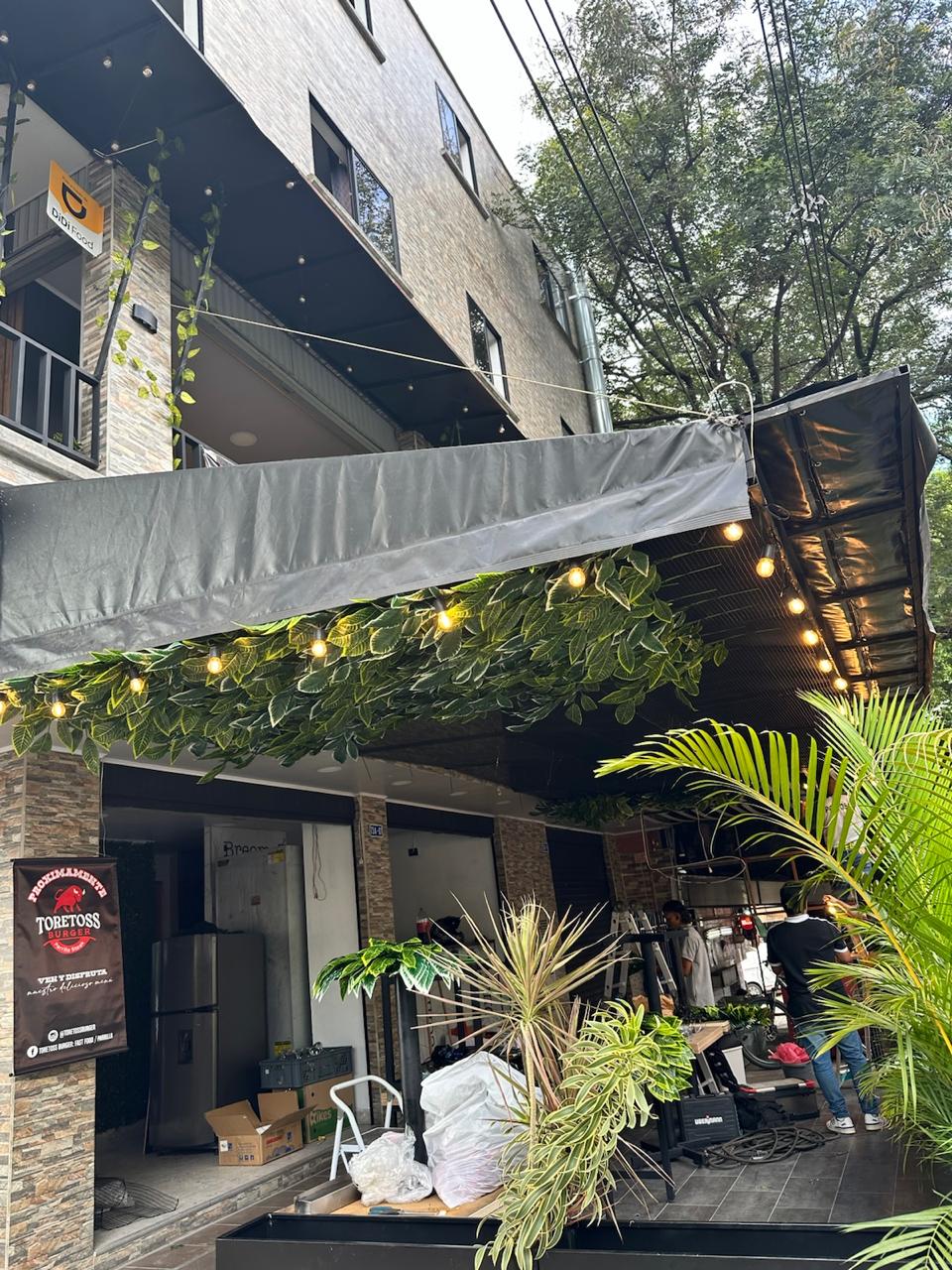cielo de hojas p22