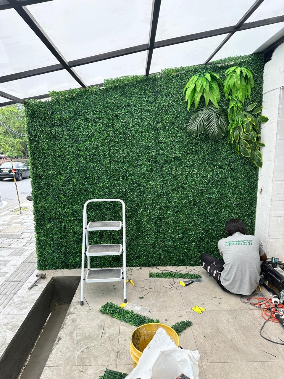 pared de helechos y palm p23