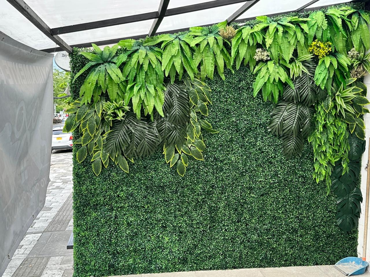 pared de helechos y palm p23