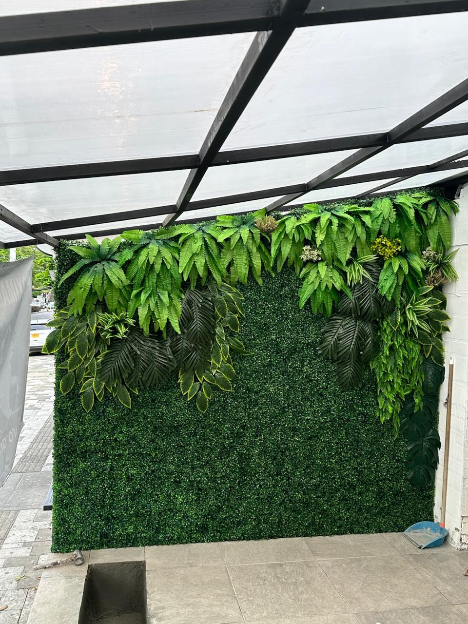 pared de helechos y palm p23