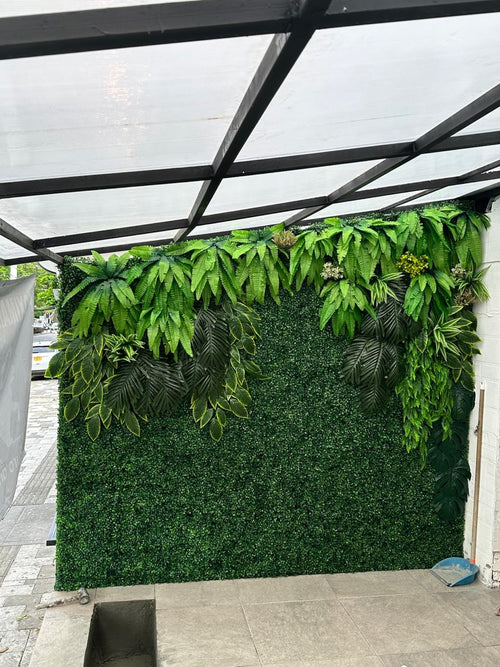 pared de helechos y palm p23