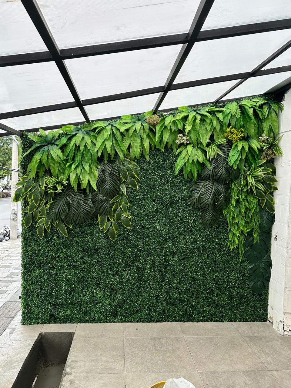 pared de helechos y palm p23